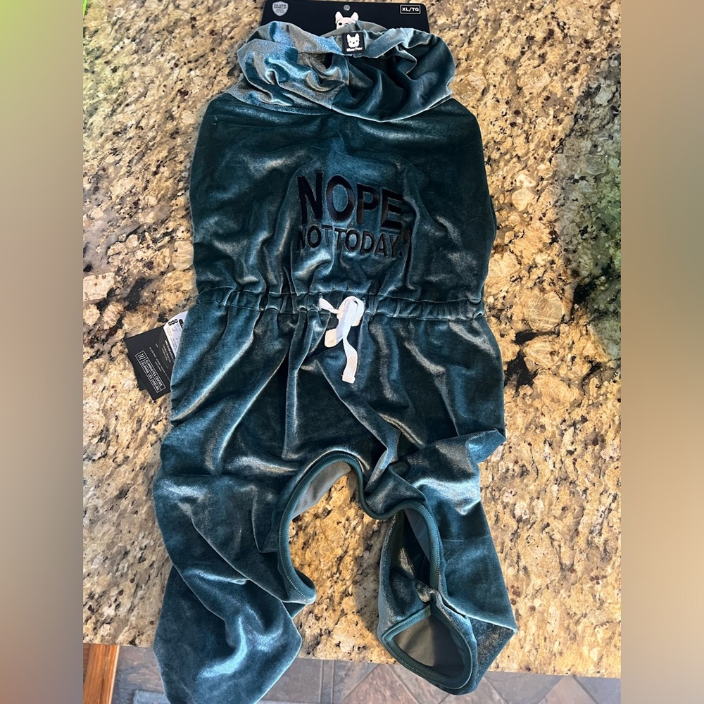Silver Paw Coco Velour Pjs - Teal in XL